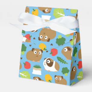 Ballotins Les Cochons De Guinée Et Leurs Traitements