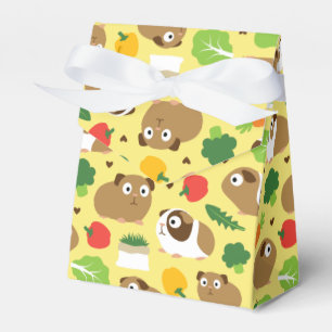 Ballotins Les Cochons De Guinée Et Leurs Traitements