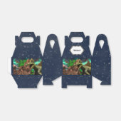 Ballotins Les étoiles de nuit de l'île de Dinosaur pterodact (Déplié)