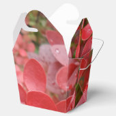 Ballotins Les feuilles rouges sortent Ballotin (Ouvert)