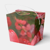 Ballotins Les feuilles rouges sortent Ballotin (Arrière)