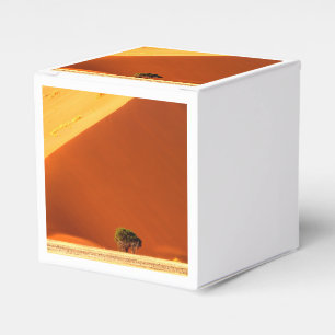 Ballotins Les Rouges de Sossusvlei