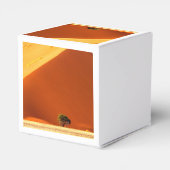 Ballotins Les Rouges de Sossusvlei (Arrière)