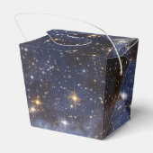 Ballotins LH 95 stellaire pépinière photographie spatiale (Arrière)