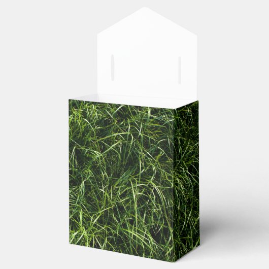 Ballotins L'herbe est toujours plus verte Ballotin (Ouvert)