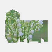 Ballotins Lily de la vallée (Déplié)