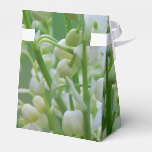 Ballotins Lily de la vallée (Arrière)