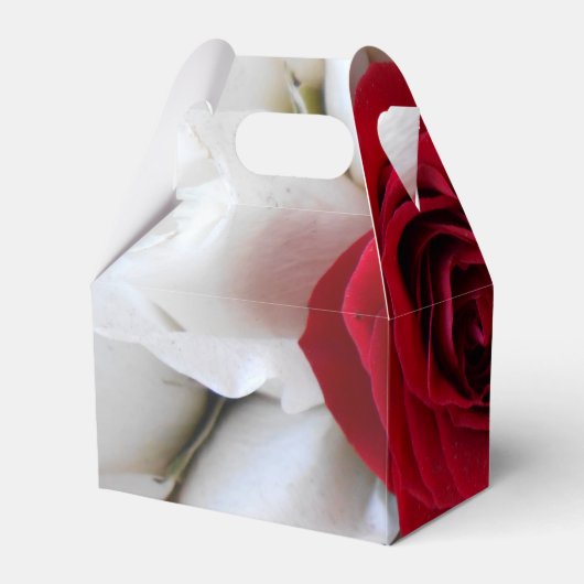 Ballotins Lindegren (Arrière)