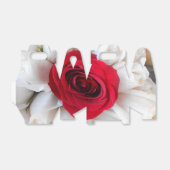 Ballotins Lindegren (Déplié)