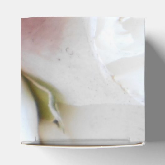 Ballotins Lindegren (Haut)