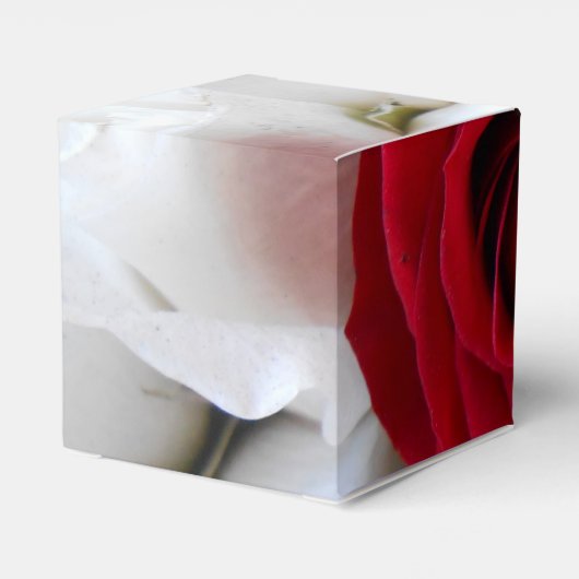 Ballotins Lindegren (Arrière)