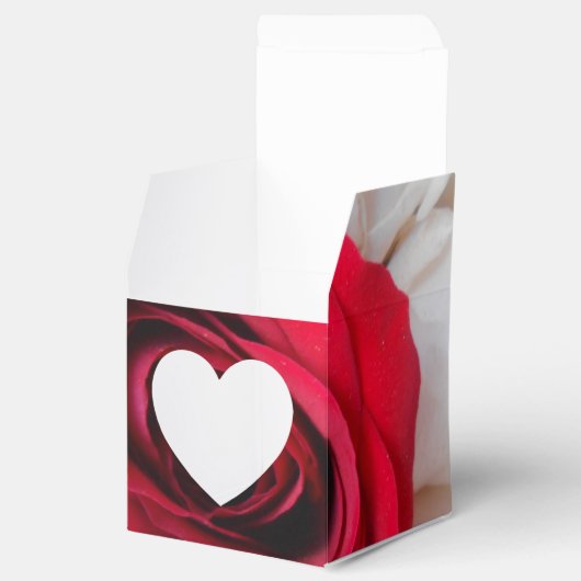 Ballotins Lindegren (Ouvert)