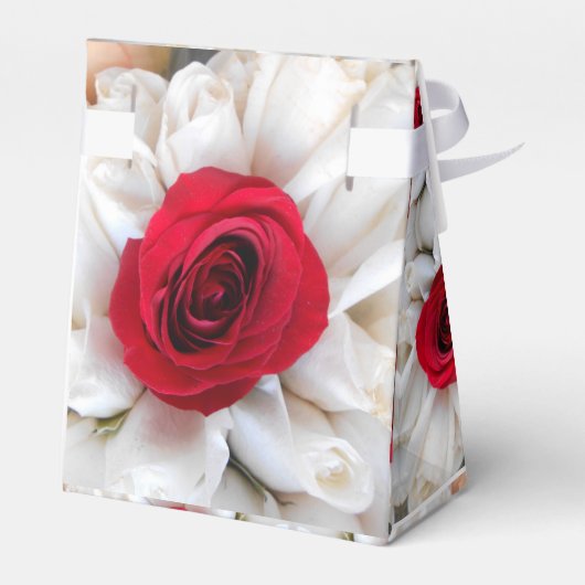 Ballotins Lindegren (Arrière)