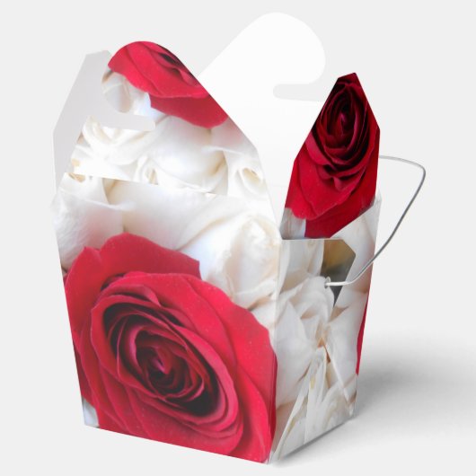 Ballotins Lindegren (Ouvert)