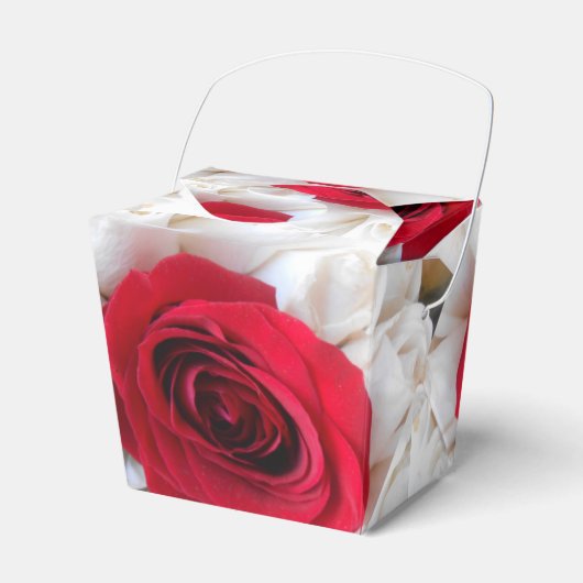 Ballotins Lindegren (Verso)