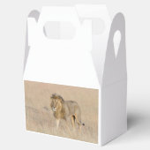 Ballotins Lion marche (Ouvert)