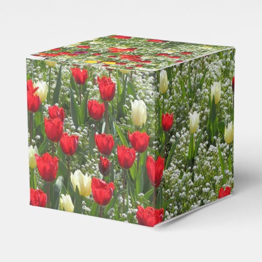 Ballotins Lit de tulipes (Verso)