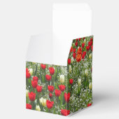 Ballotins Lit de tulipes (Ouvert)