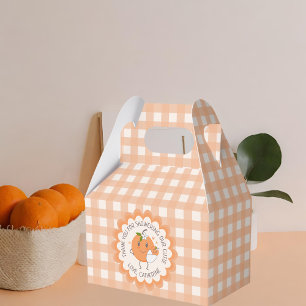 Ballotins Little Cutie En route   Baby shower orange migre