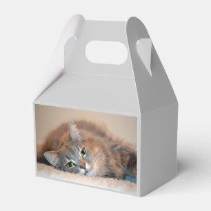 Ballotins Long chapeau bleu russe par Shirley Taylor