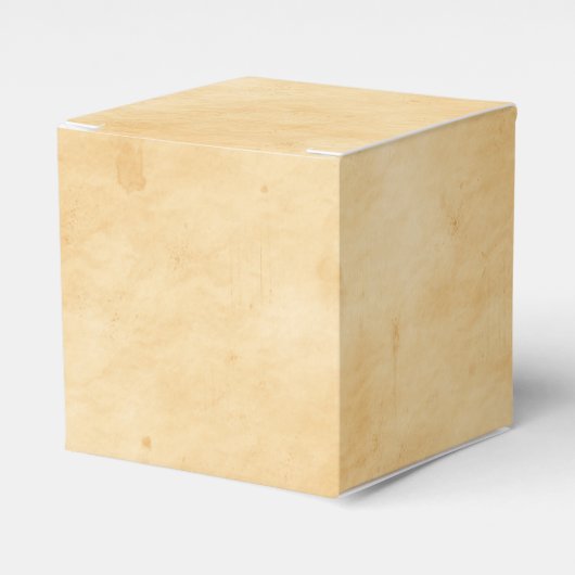 Ballotins Look Old Parchment Background (Verso)