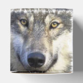 Ballotins Loup face proche (Haut)