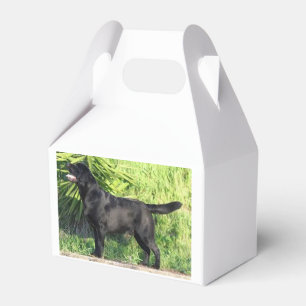 Ballotins LR noir complet