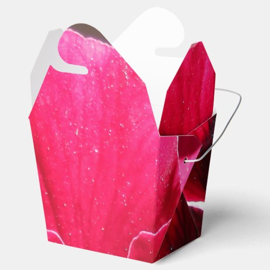 Ballotins Lucrezia (Ouvert)