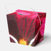 Ballotins Lucrezia (Arrière)