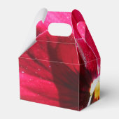 Ballotins Lucrezia (Arrière)