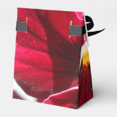 Ballotins Lucrezia (Arrière)