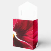 Ballotins Lucrezia (Ouvert)