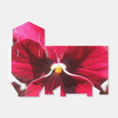 Ballotins Lucrezia (Déplié)