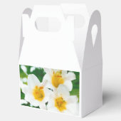 Ballotins Lys blancs - Lilium candidum (Ouvert)