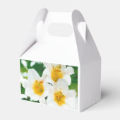 Ballotins Lys blancs - Lilium candidum (Verso)