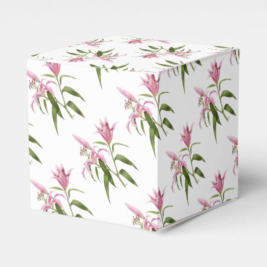 Ballotins Lys orientaux - Stargazer (Verso)