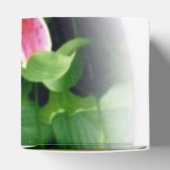 Ballotins Lys roses (Haut)