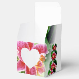 Ballotins Lys roses