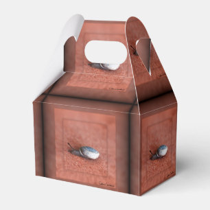 Ballotins Macro Photographie de Snail sur Terracotta