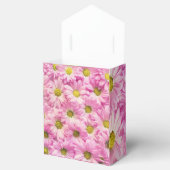 Ballotins Marguerite Rose (Ouvert)