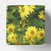 Ballotins Marguerites jaunes (Haut)