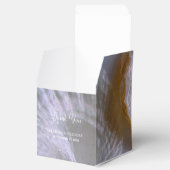 Ballotins Mariage Beach Clams (Ouvert)