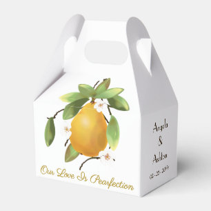 Ballotins Mariage de fruits poires