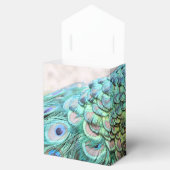 Ballotins Mariage de plumes Aqua Peacock Extravagant (Ouvert)