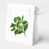 Ballotins Mariage Florida Oranges (Arrière)