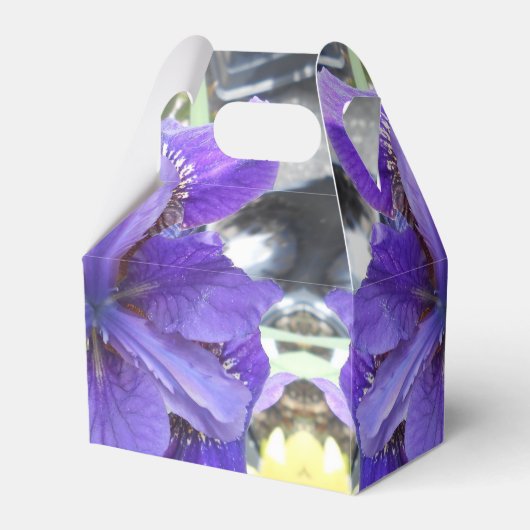 Ballotins Marques (Arrière)