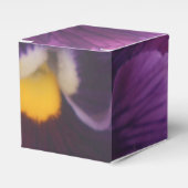 Ballotins Mechteld (Verso)