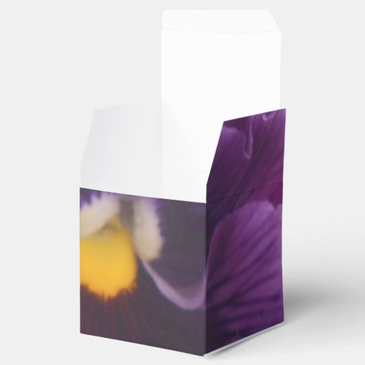 Ballotins Mechteld (Ouvert)