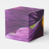 Ballotins Mechteld (Arrière)