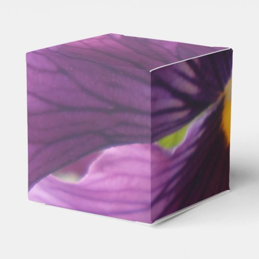 Ballotins Mechteld (Arrière)